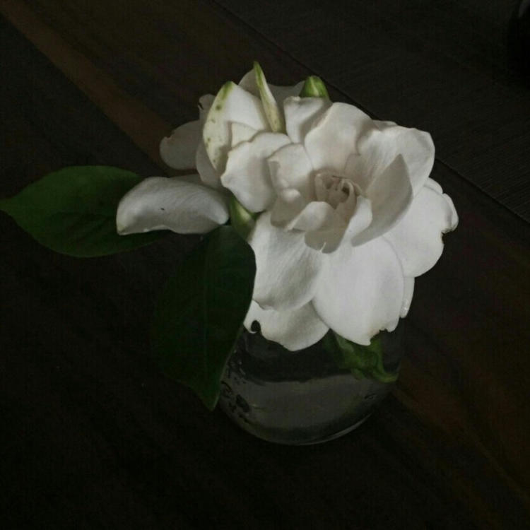 会津（高荷惠的故乡） - 独家综艺节目在线观看 - 线上看电影